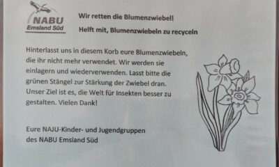 Wir retten die Blumenzwiebel